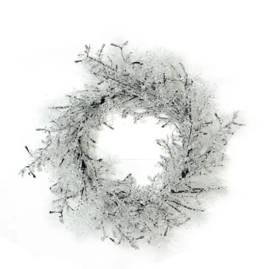 22" Clear Ice & Snowflakes Black Twigs Wreath {1}