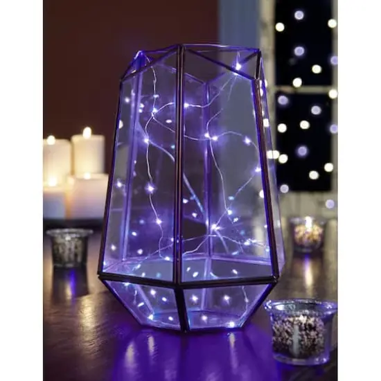 Apothecary & Company&trade; Decorative String Lights, Purple {3}