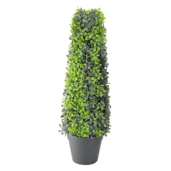 25" Two Toned Conical Shaped Potted Shrub Topiary {1}