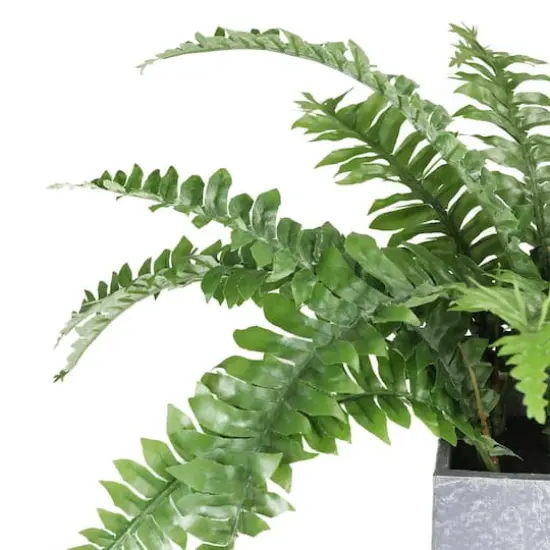 13" Artificial Boston Fern In Stone Look Paper Mach&eacute; Pot {4}