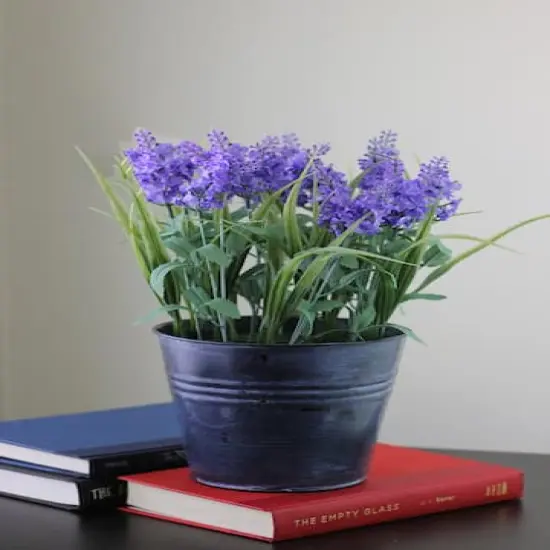 Lavender Arrangement in Distressed Blue Pot {5}