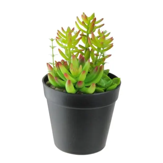 8" Artificial Variegated Succulent Plants In Pot {1}