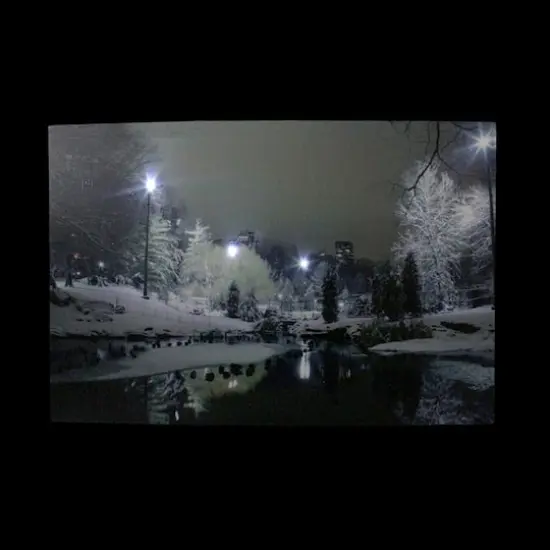 LED Lighted Nighttime City Park Winter Scene Wall Art {3}