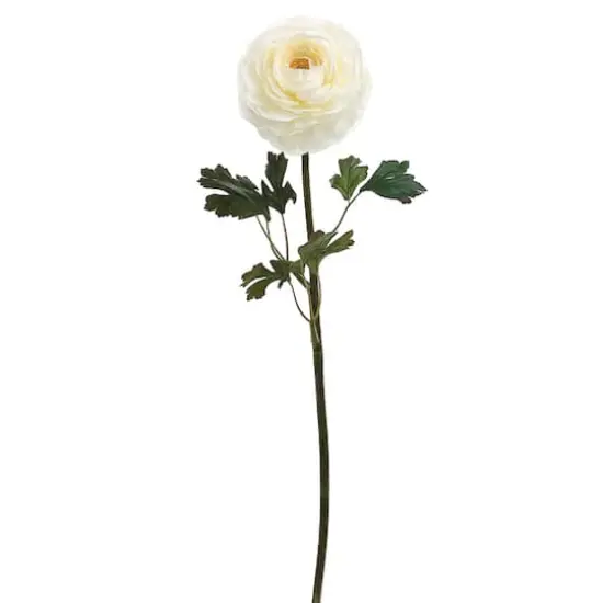 24" Ranunculus Stem, White {1}