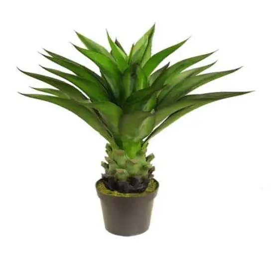 30.5" Potted Artificial Green Agave Americana Succulent {1}