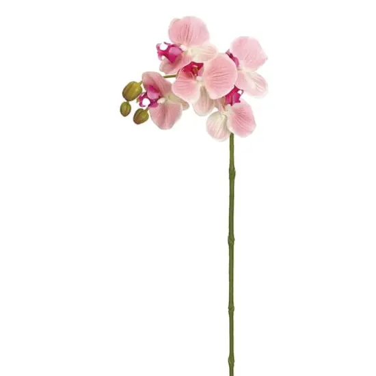 Real Touch Pink Phalaenopsis Orchid Stem  {1}