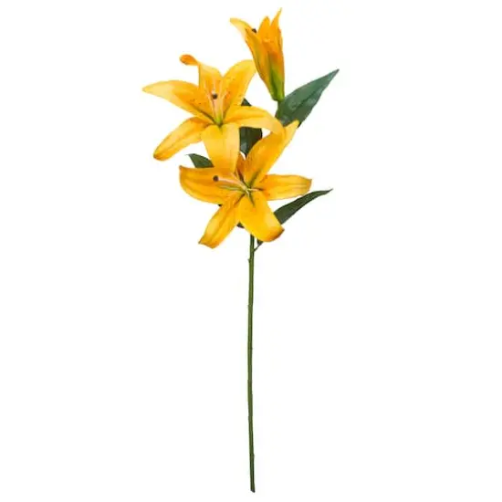 Casablanca Lily Stem by Ashland&reg; Yellow {5}