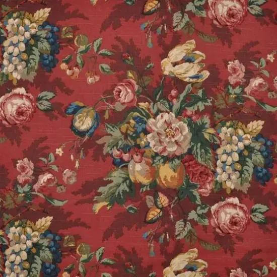 P. Kaufmann Queensland Crimson {1}