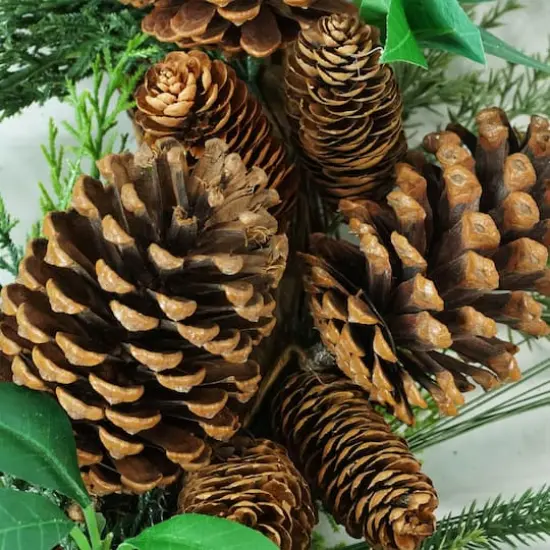 24" Mixed Pine Artificial Wreath with Pinecones {3}