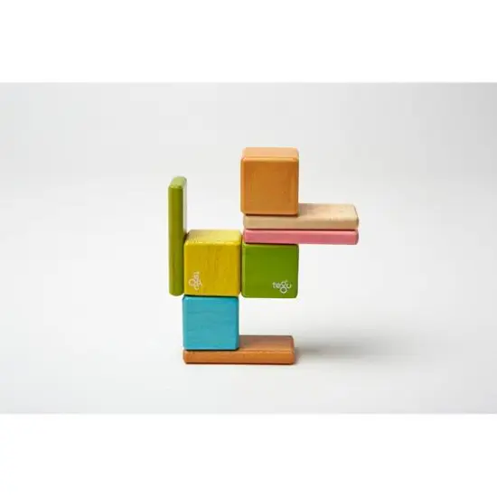 Tegu Tints Block Pocket Pouch Set {6}