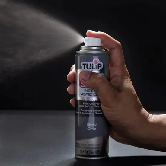 Tulip&reg; ColorShot Instant Fabric Color&trade; Gray {4}