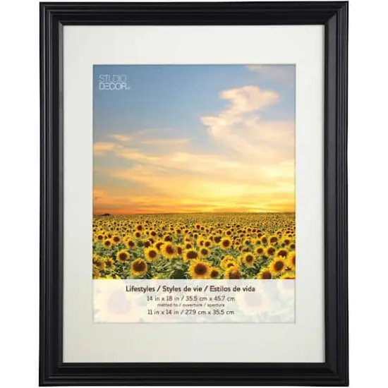 2 Pack Lifestyles 11" x 14" Black Frames with Mat by Studio D&eacute;cor&reg; {7}