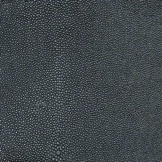 Nassimi Symphony Shagreen Barracuda Vinyl {1}
