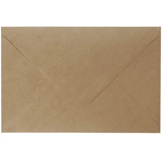 Kraft Paper Envelopes by Recollections&trade;, 6" x 9" {1}