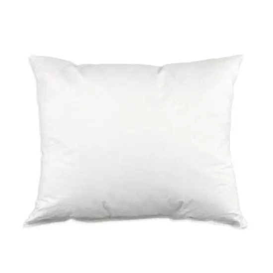 16" x 24" Down Pillow Form - 5/95 {1}