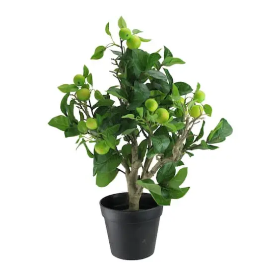 23" Potted Bonsai-Style Green Apple Tree {1}