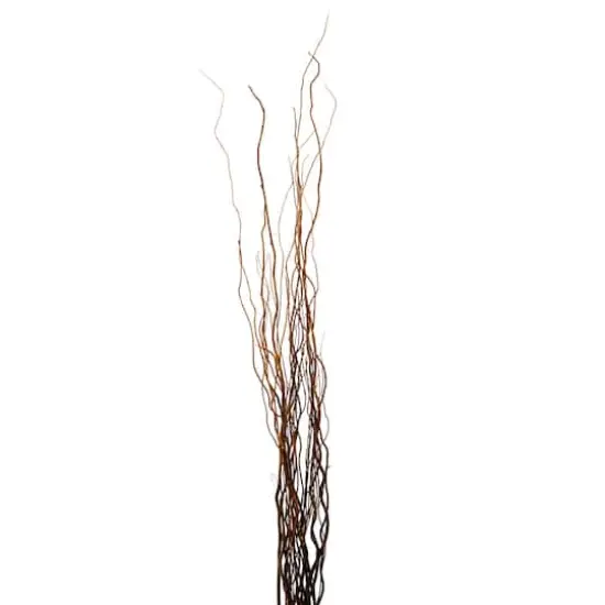Natural Curly Willow by Ashland&reg; {1}
