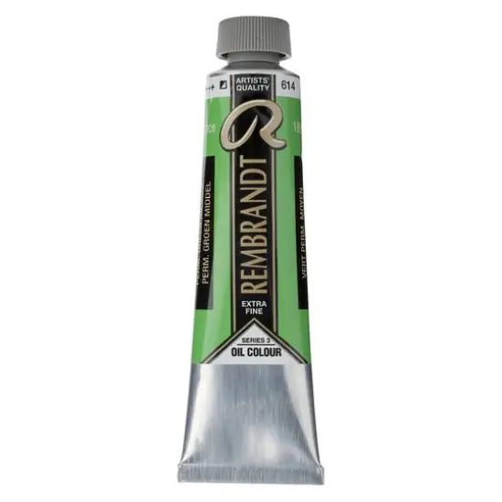 Rembrandt&reg; Artists' Oil Colour, 40mL Permanent Green Medium {1}