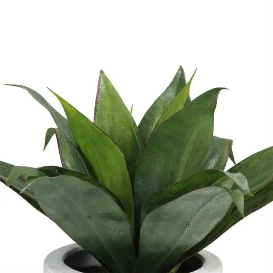 13" GreenArtificial Agave in Weathered White Ceramic Pot {3}