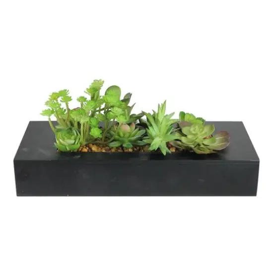 6" Artificial Succulent Plant Arrangement in Black Garden Box {1}