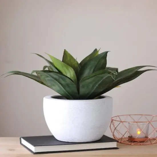 13" GreenArtificial Agave in Weathered White Ceramic Pot {5}