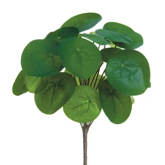 13" Watercress Leaf Bush, Green {1}