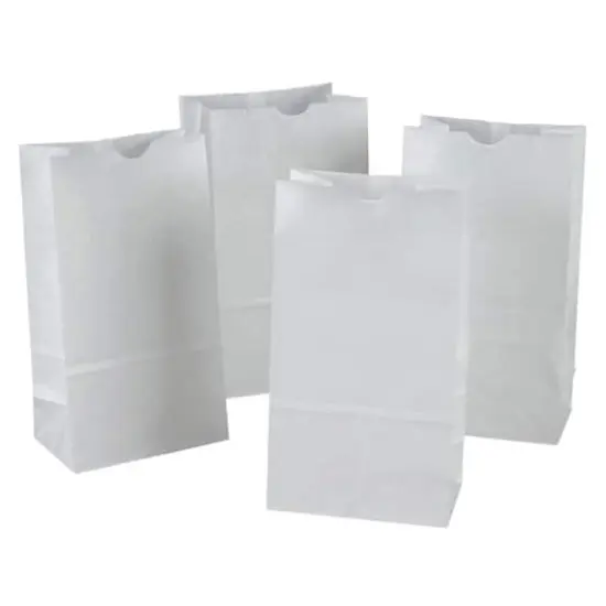 Rainbow&reg; White Kraft Paper Bags, Pack of 100 {1}