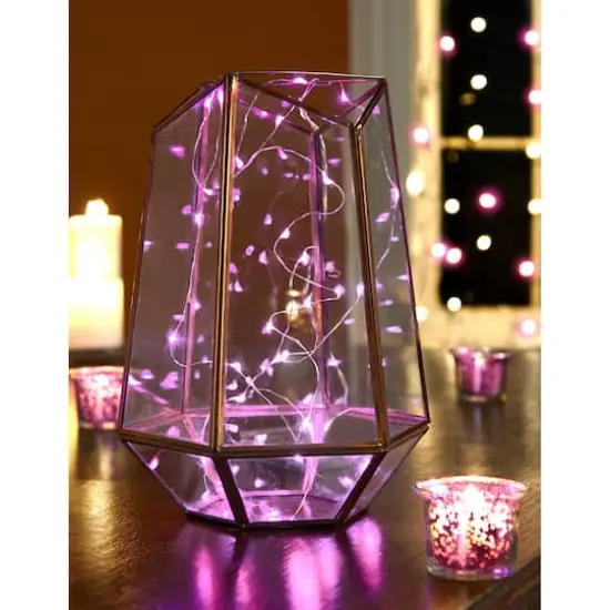 Apothecary & Company&trade; Decorative String Lights, Pink {3}