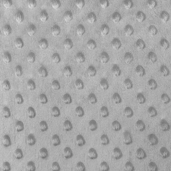 Gray Minky Dot {2}