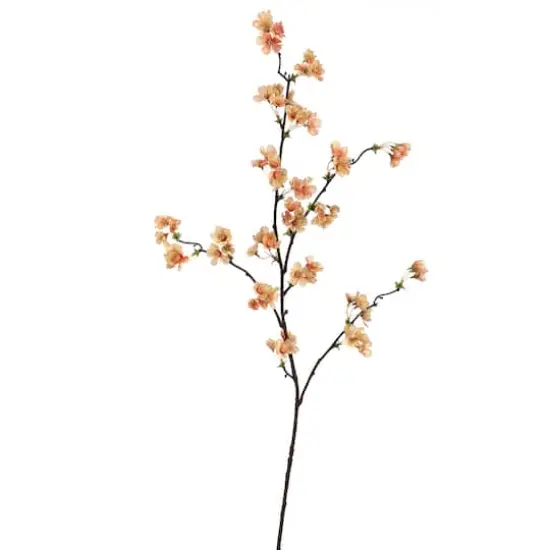 Apricot Peach Quince Blossom Stem {1}