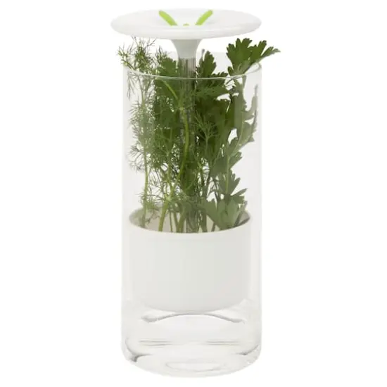 Honey Can Do Clear & White Herb Preserver {1}