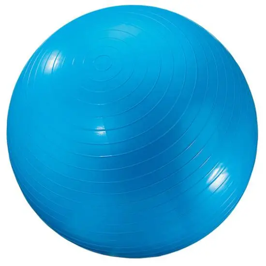 Martin Sports 24" Blue Exercise Ball {1}