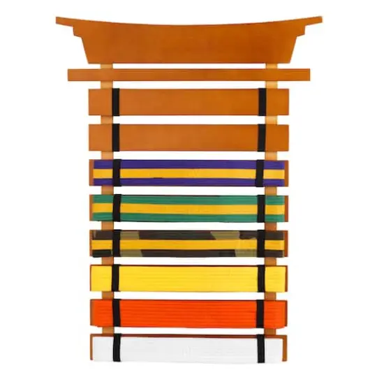 KidKraft Martial Arts Belt Holder {1}