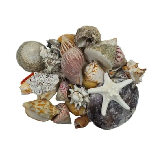 U.S. Shell Dark Shell Mix with Starfish Gift Pack {1}