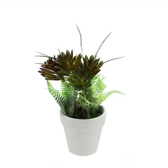 Artificial Green and Red Succulent and Fern with Round White Pot {1}