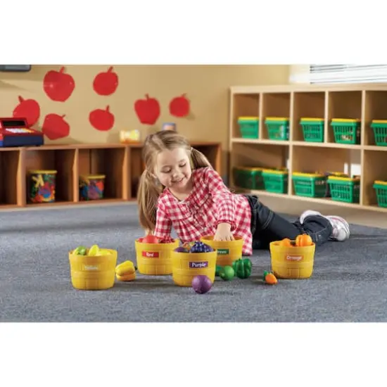 Farmer's Market Color Sorting Set {5}