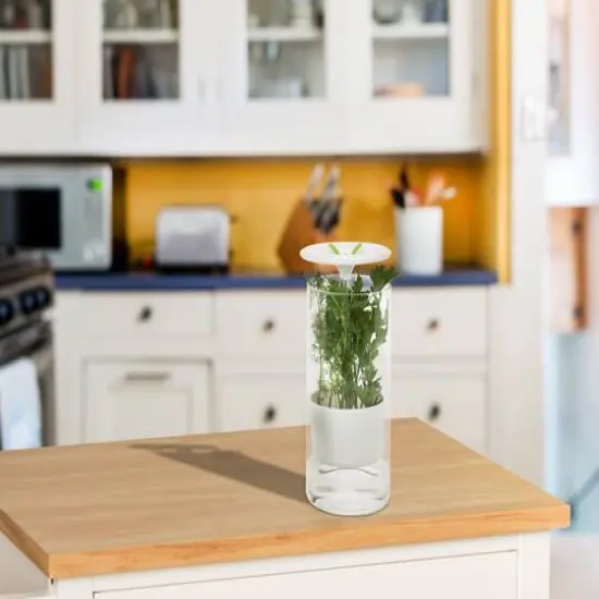 Honey Can Do Clear & White Herb Preserver {5}