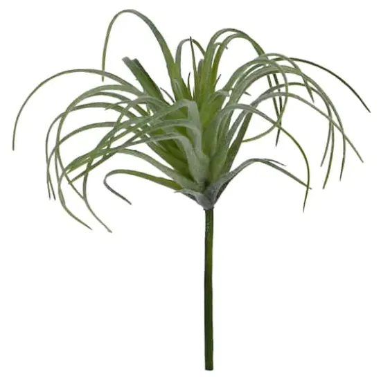 Assorted 6" Tillandsia Pick by Ashland&reg;, 1pc. {5}
