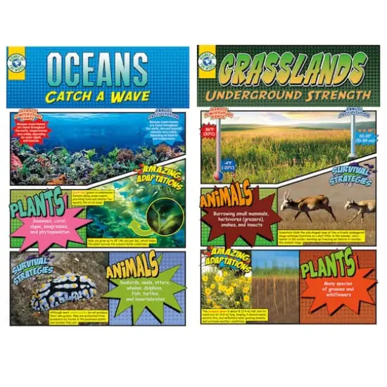 Biomes Bulletin Board Set {6}