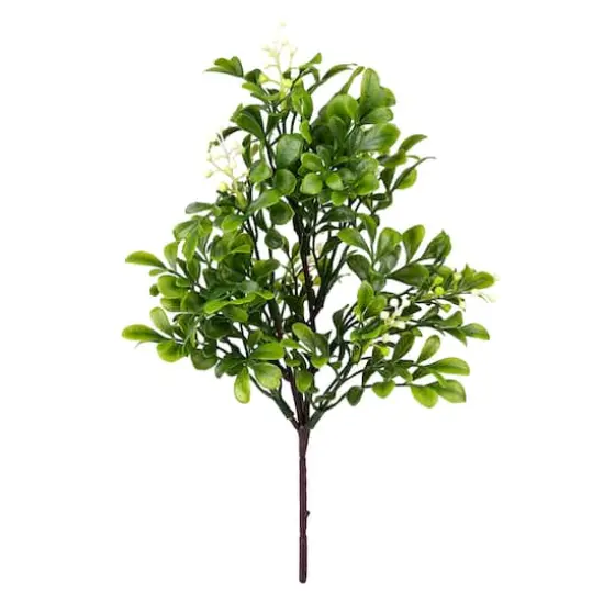 11" Boxwood Pick by Ashland&reg; {1}