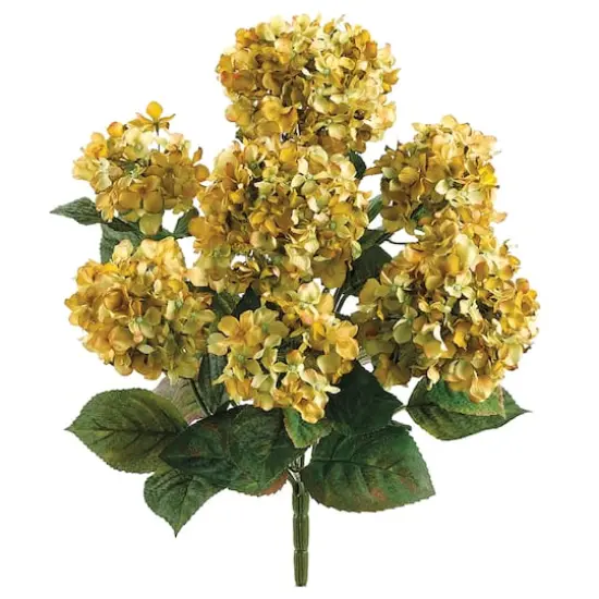 20" Hydrangea Bush, Yellow {1}