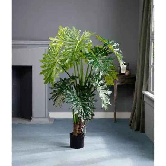 5 Ft. Plume Split Leaf Plant {4}