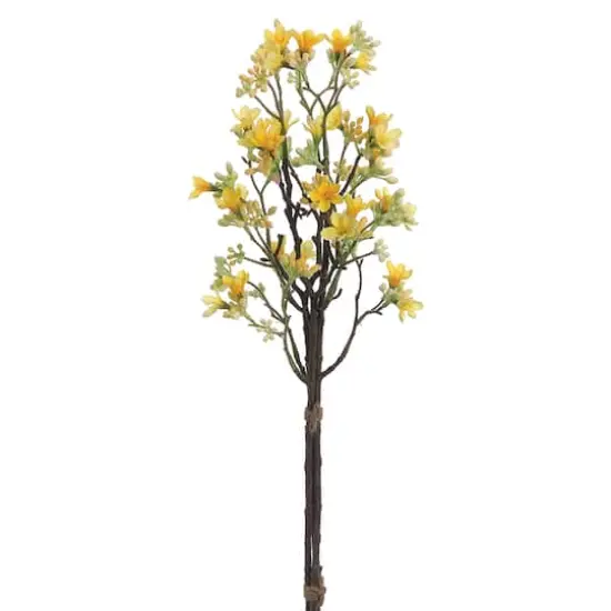 Yellow Heptacodium Bundle {1}