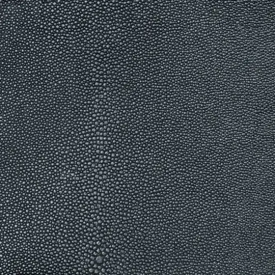 Nassimi Symphony Shagreen Barracuda Vinyl {2}