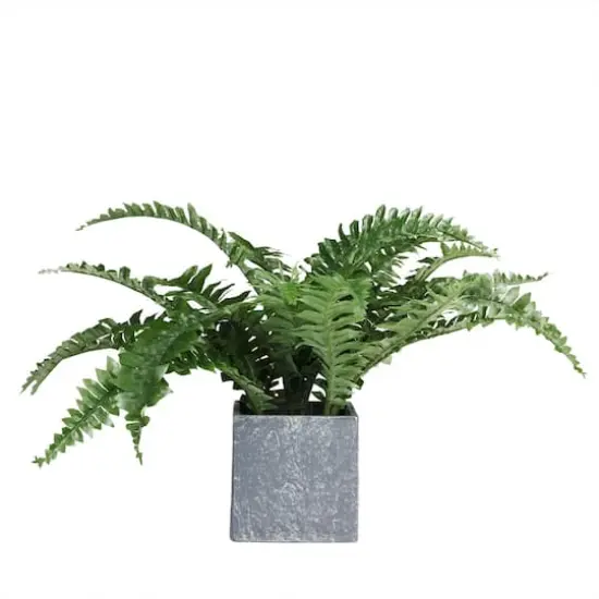 13" Artificial Boston Fern In Stone Look Paper Mach&eacute; Pot {1}