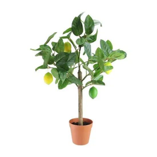 25" Lemon Potted Topiary with Unripe Fruit {1}