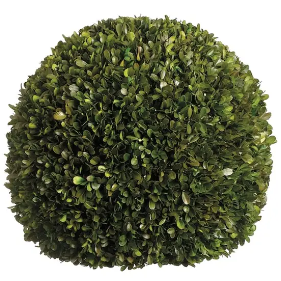 17" Preserved Boxwood Ball {1}