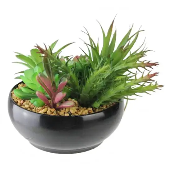 6" Green & Red Artificial Succulent Arrangement in Black Bowl {3}