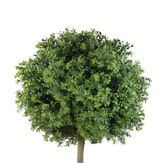 5ft Two Tone Green Artificial Murraya Ball Potted Topiary {3}