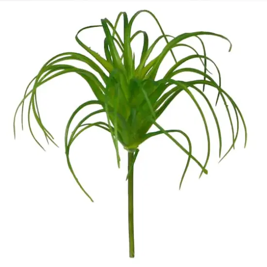 Assorted 6" Tillandsia Pick by Ashland&reg;, 1pc. {3}